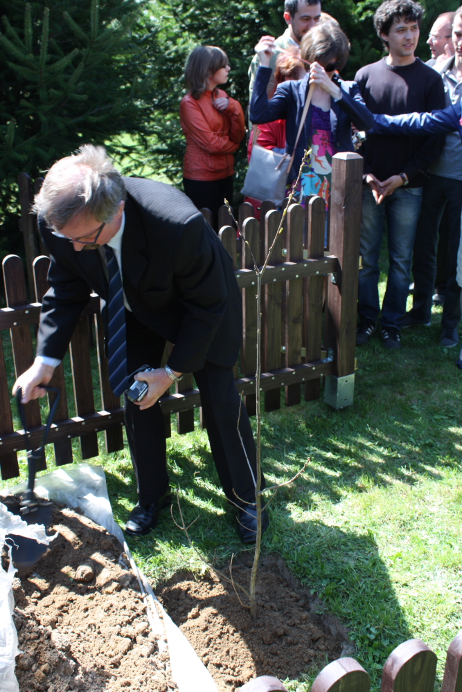 5 maja 2013 — zdjęcie 1