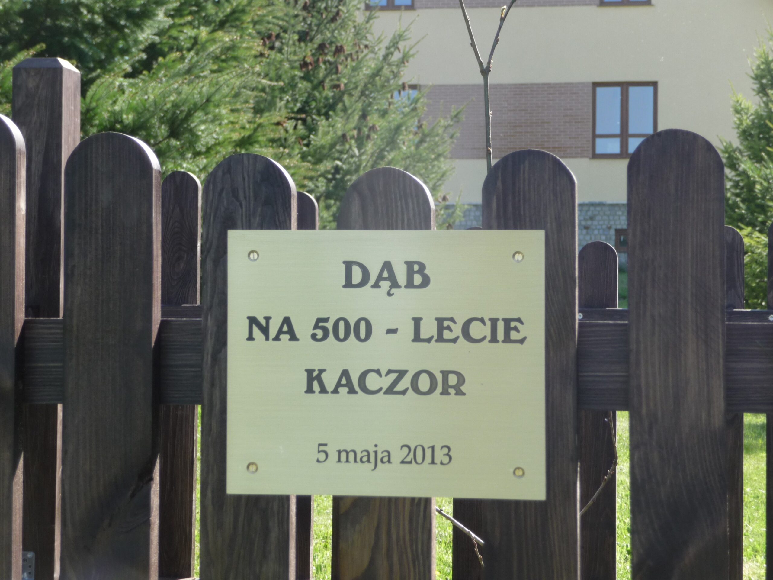 5 maja 2013, jubileuszowi dąb posadzony