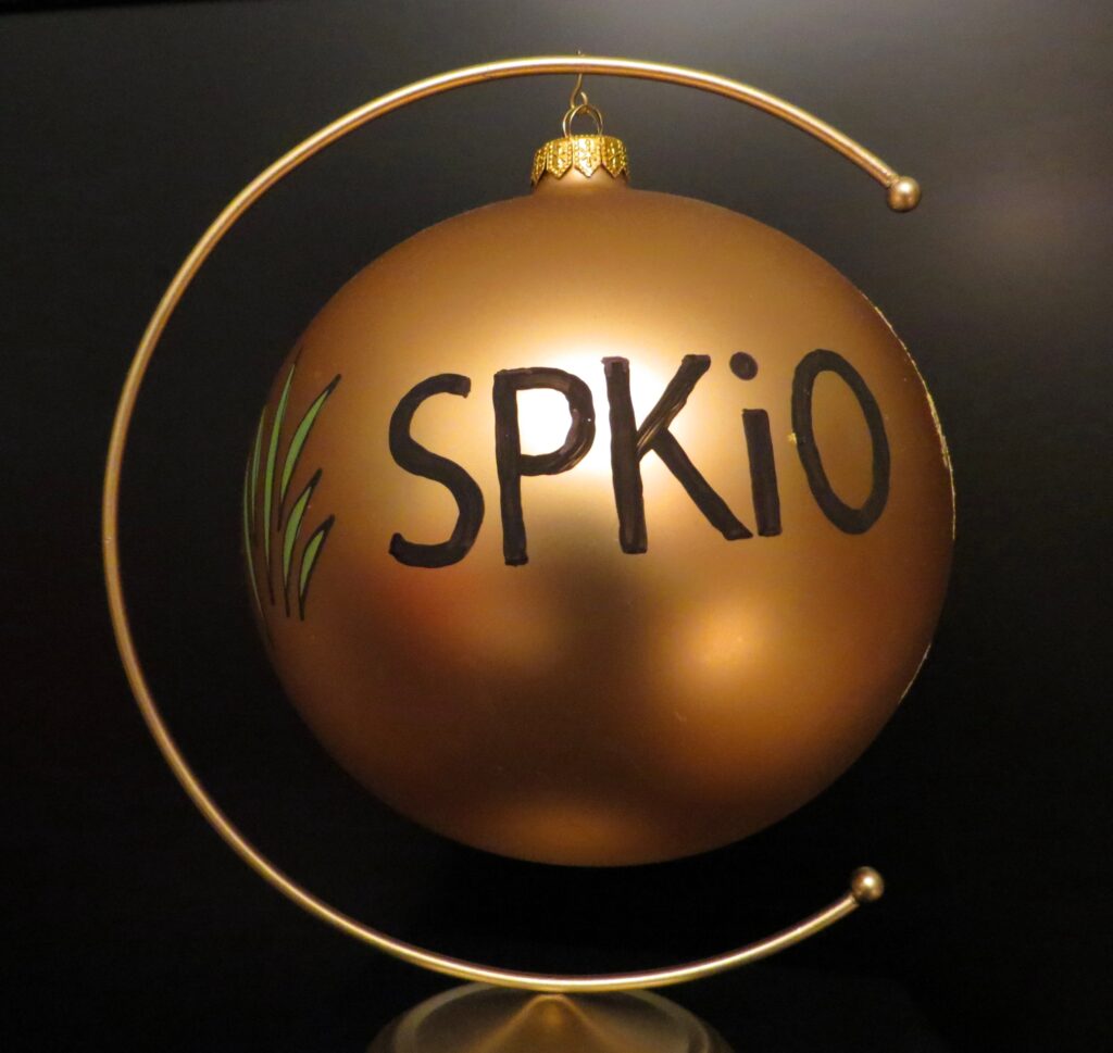 Życzenia na Boże Narodzenie i Nowy Rok — zdjęcie 6
