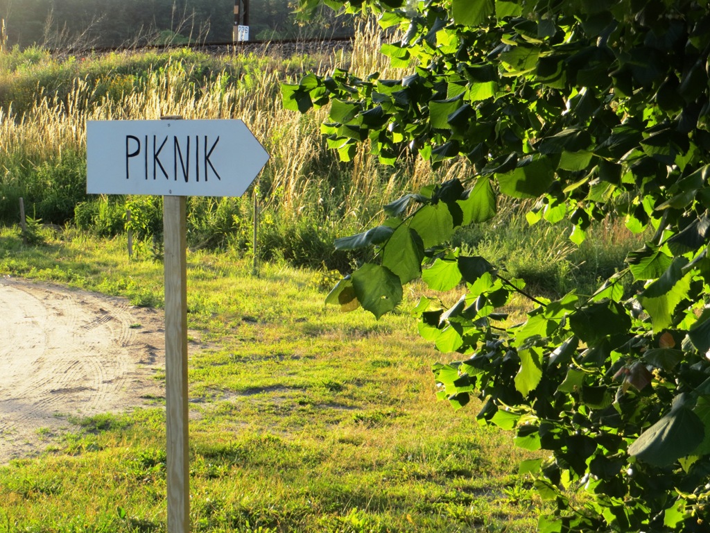 Piknik na powitanie lata — zdjęcie 11
