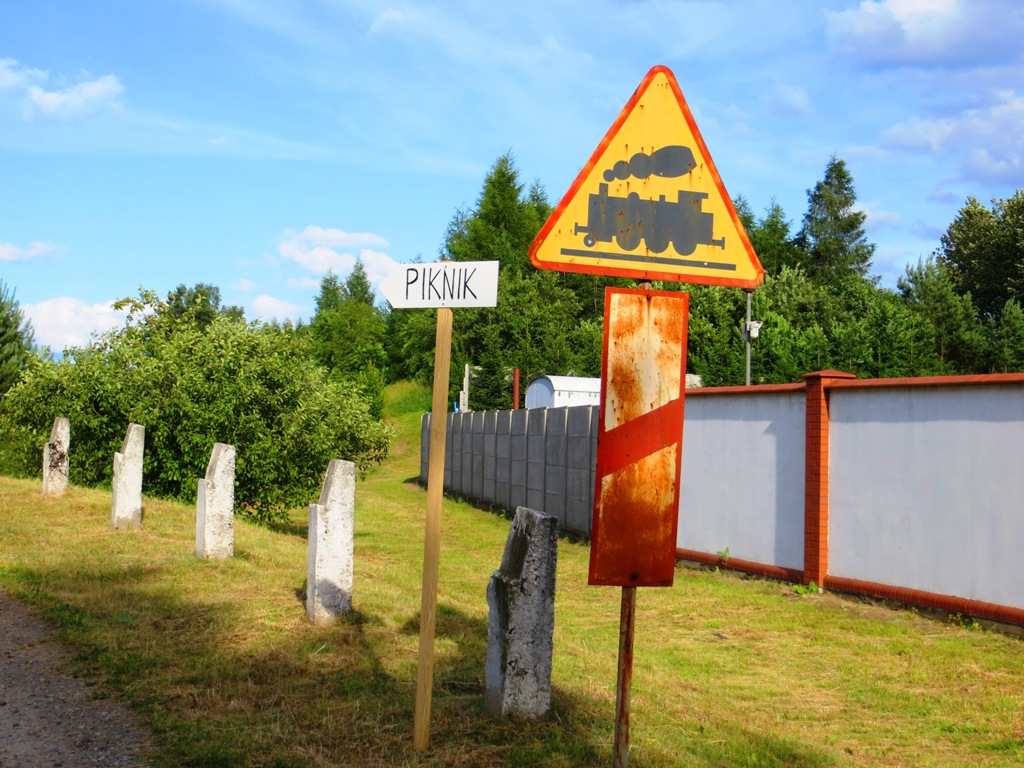 Piknik na powitanie lata — zdjęcie 12
