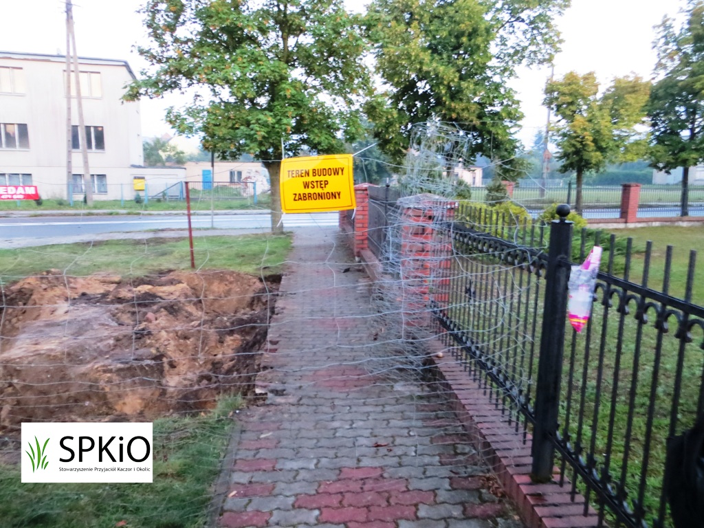 Ruszyły prace przygotowawcze do renowacji figury — zdjęcie 10