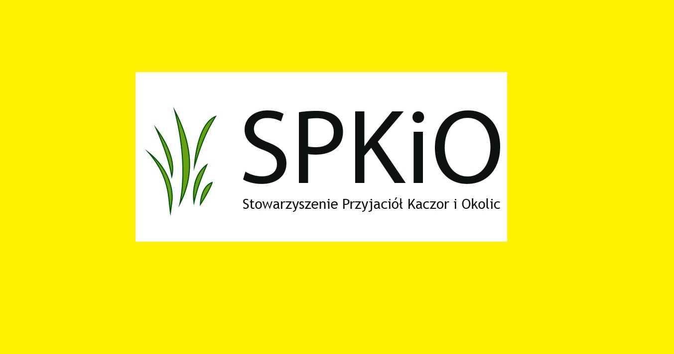 3 lata działalności SPKiO