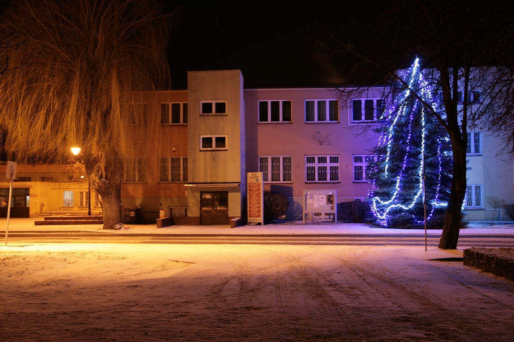 Kaczory w noworocznej szacie — zdjęcie 18
