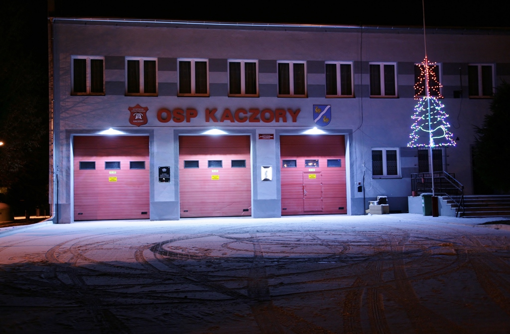 Kaczory w noworocznej szacie — zdjęcie 8