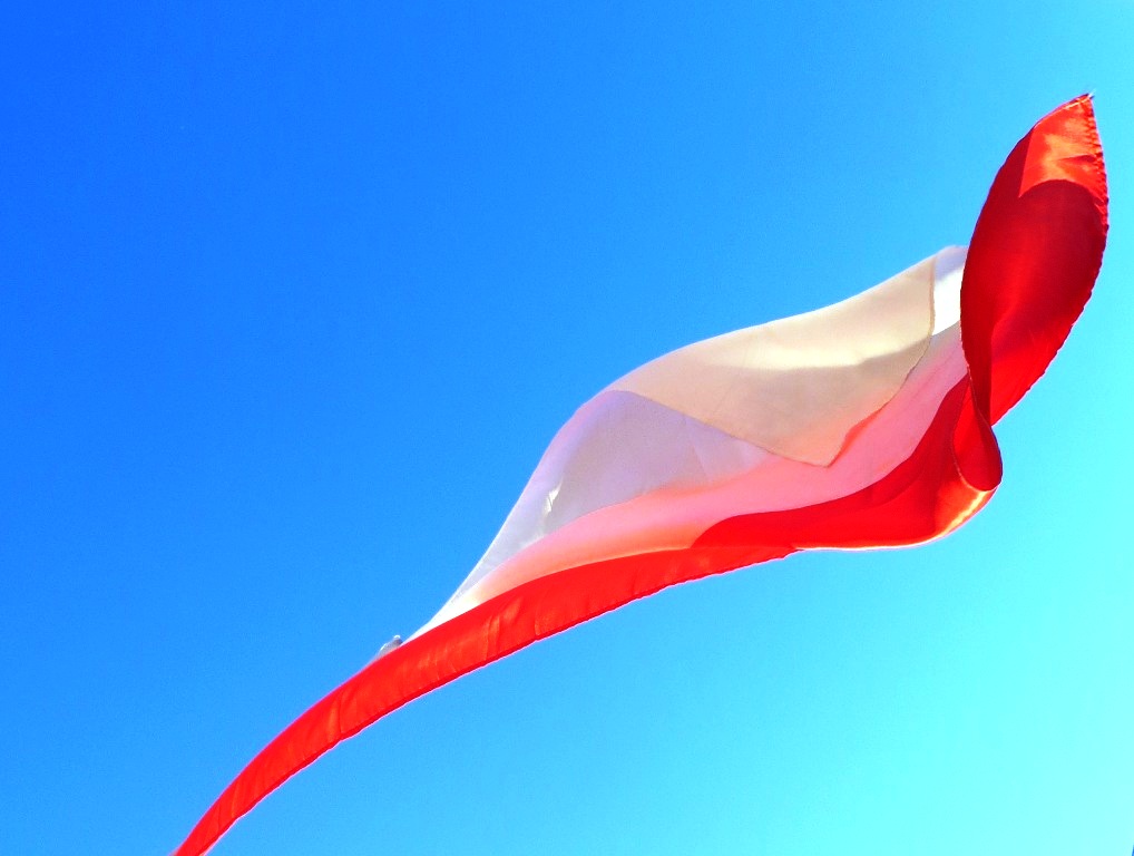 Narodowy Dzień Pamięci o żołnierzy Wyklętych — zdjęcie 15