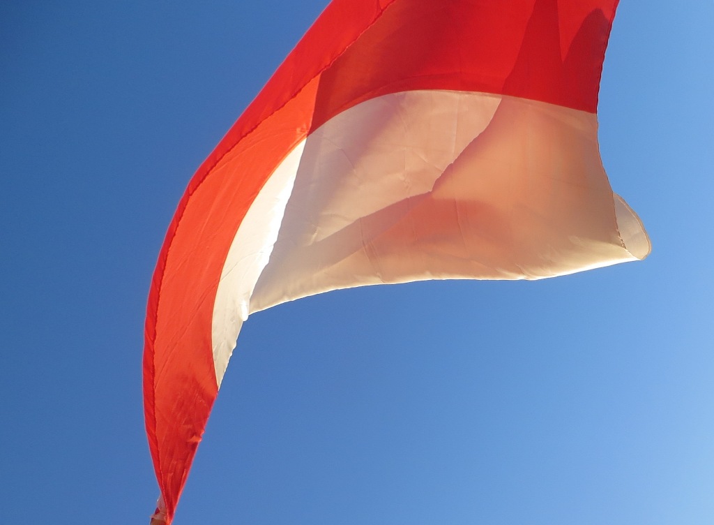 Narodowy Dzień Pamięci o żołnierzy Wyklętych — zdjęcie 20
