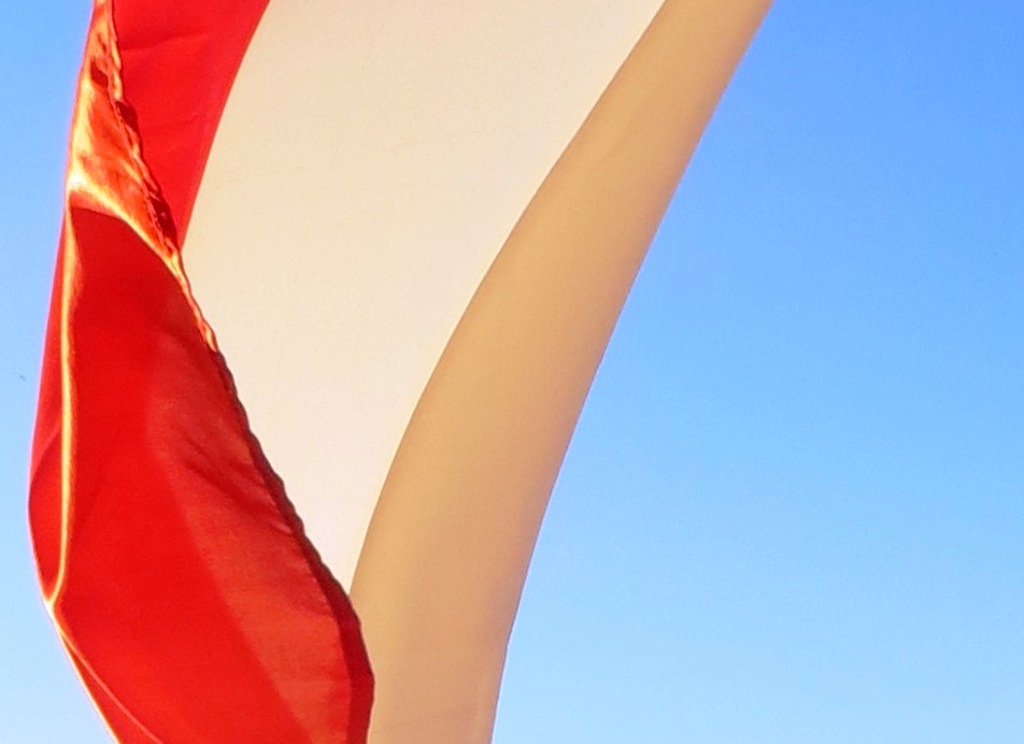Narodowy Dzień Pamięci o żołnierzy Wyklętych — zdjęcie 27