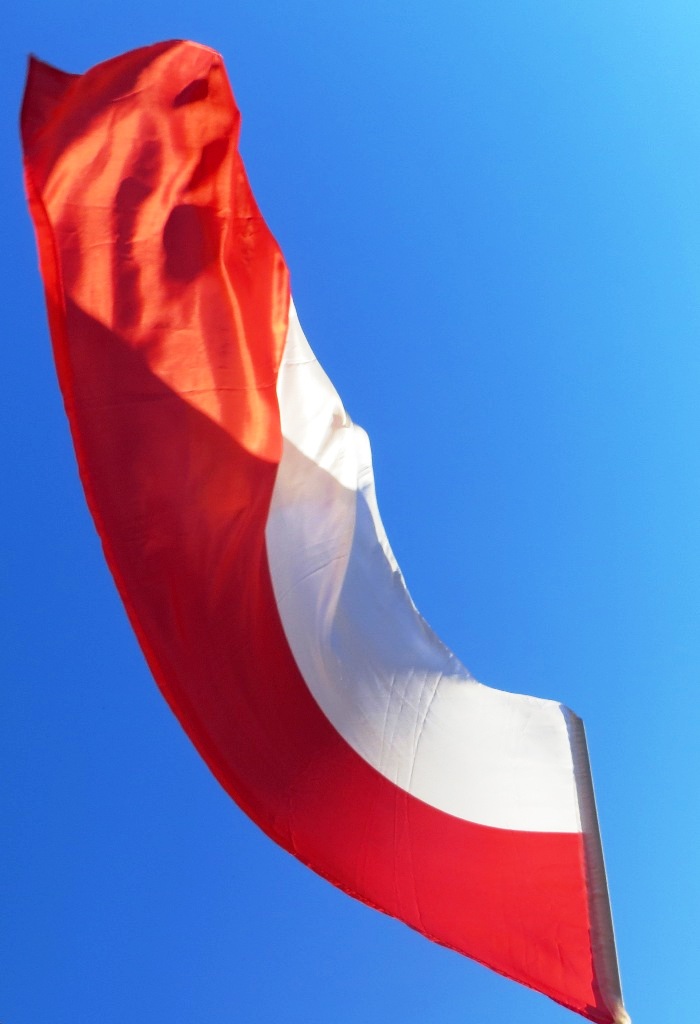 Narodowy Dzień Pamięci o żołnierzy Wyklętych — zdjęcie 29