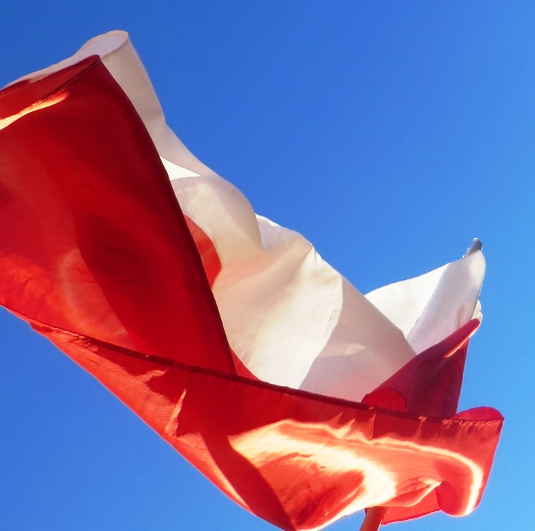 Narodowy Dzień Pamięci o żołnierzy Wyklętych — zdjęcie 3