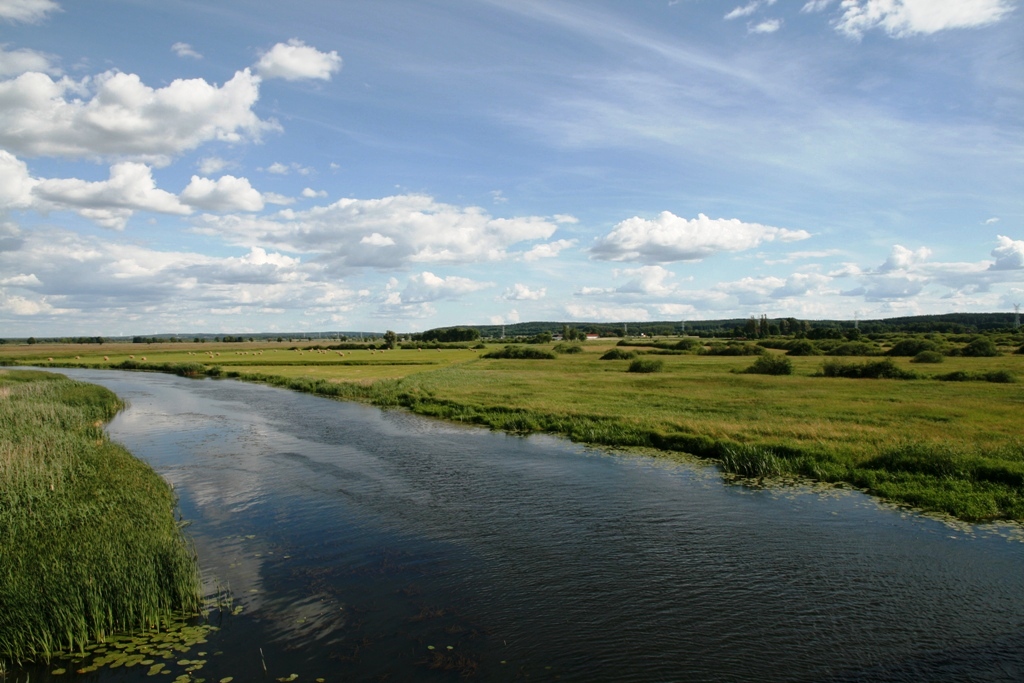 Dolina Noteci w fotografii — zdjęcie 5