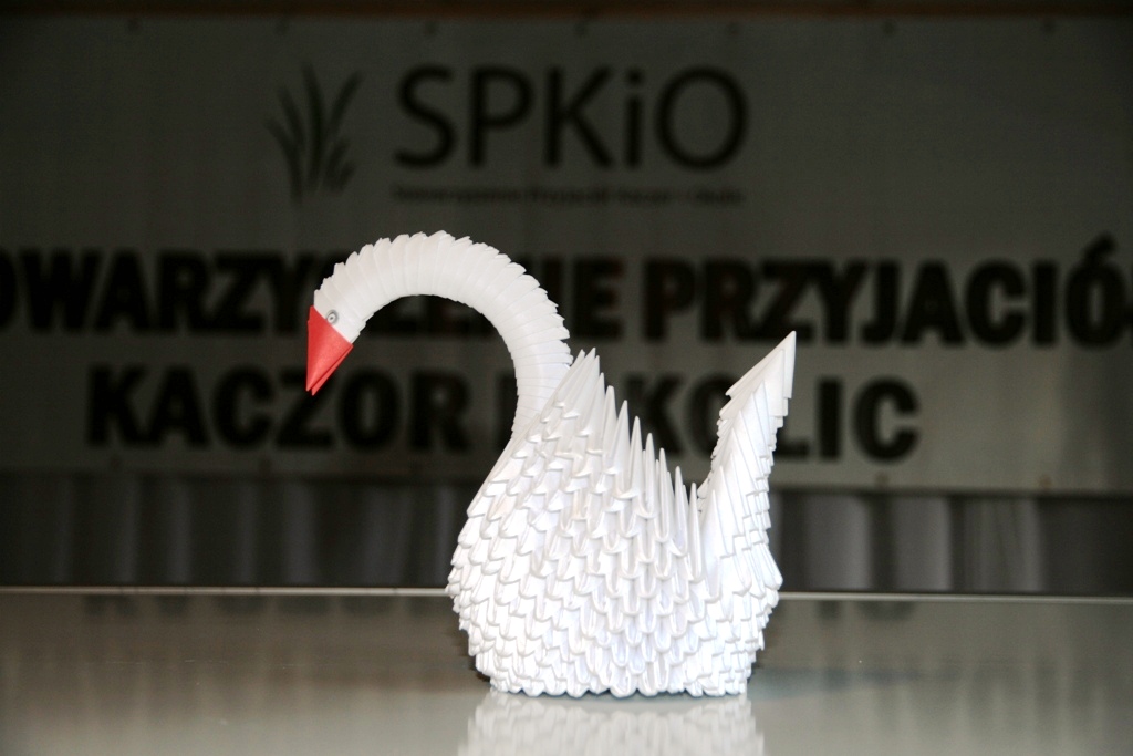 Spotkanie w Chodzieży — zdjęcie 13