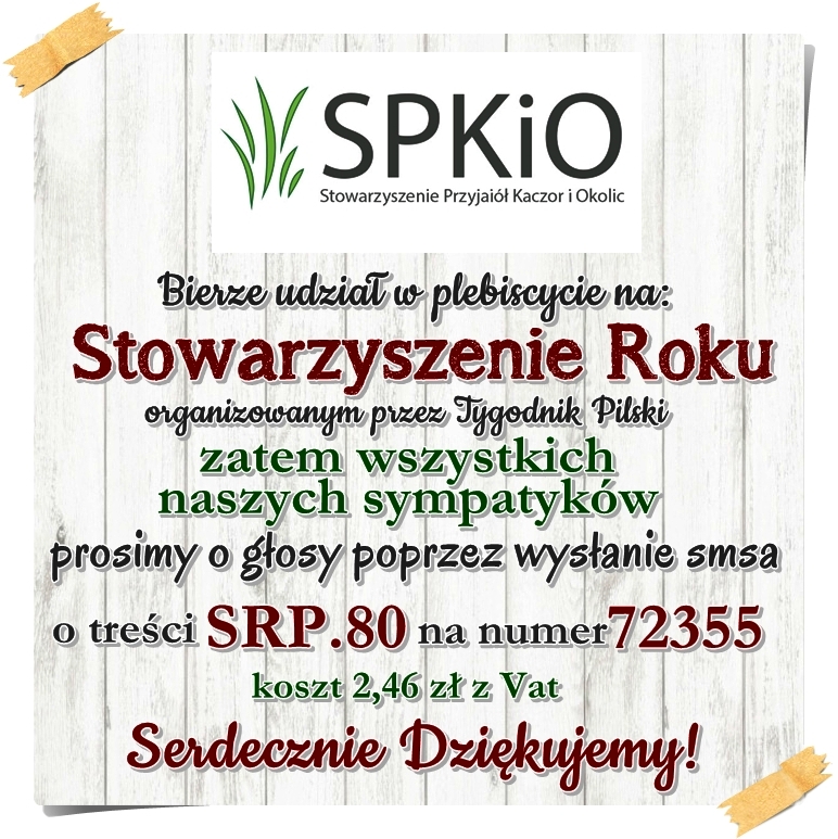Plebiscyt „Stowarzyszenie Roku 2017"