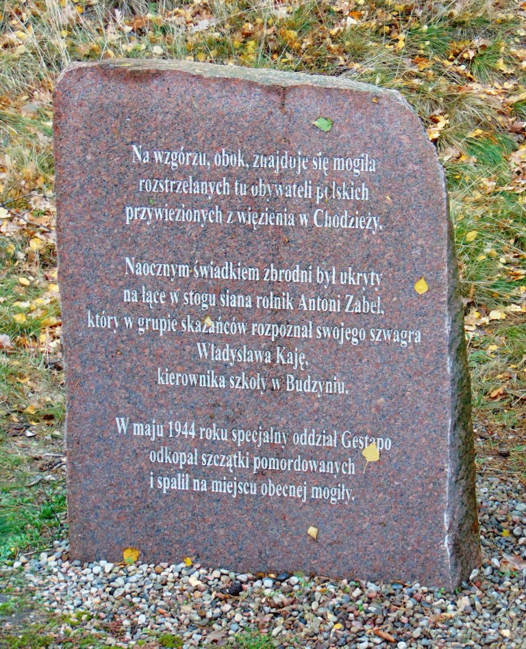 Hołd złożony zamordowanym w Górach Morzewskich — zdjęcie 19