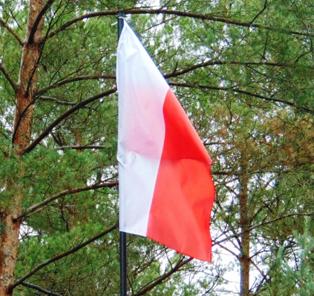 Hołd złożony zamordowanym w Górach Morzewskich — zdjęcie 24