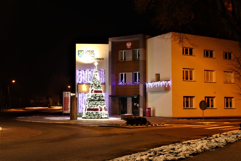 Kaczory nocą — zdjęcie 3