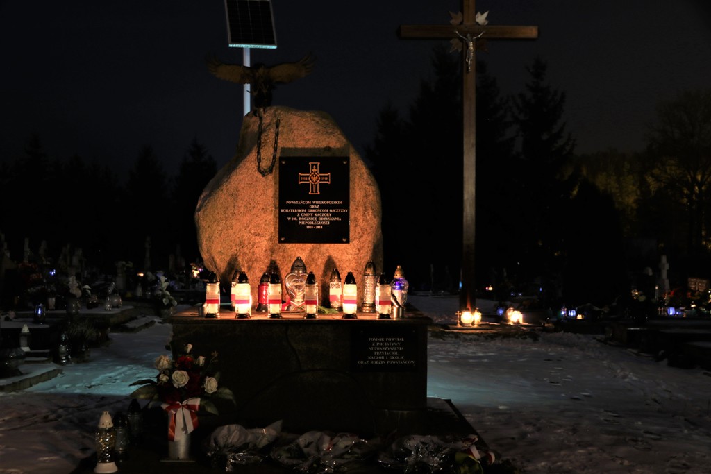 Kaczory nocą — zdjęcie 5