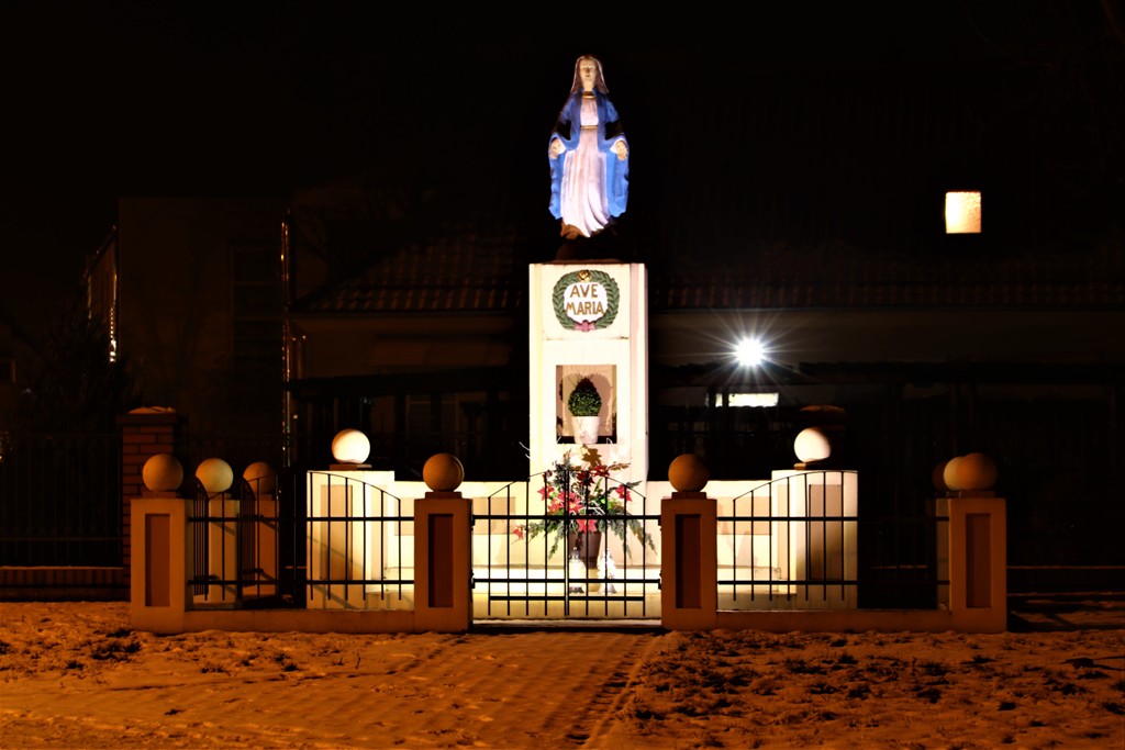 Kaczory nocą — zdjęcie 6