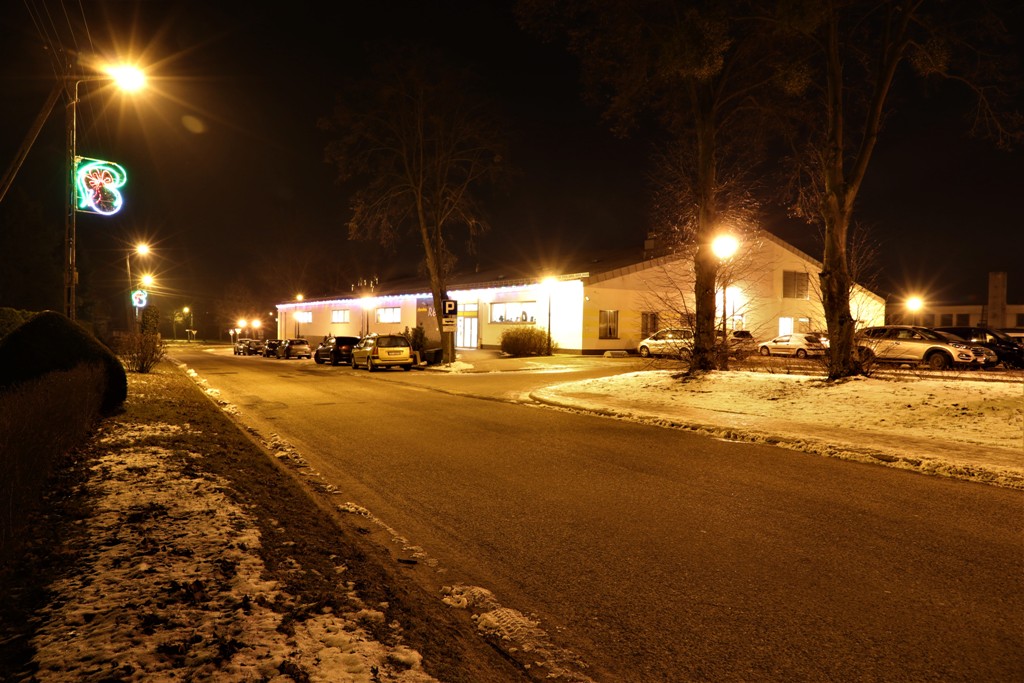 Kaczory nocą — zdjęcie 8