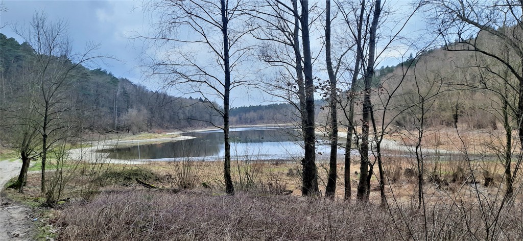 Jezioro Kopcze — zdjęcie 2