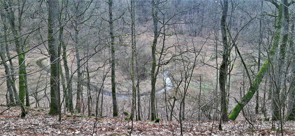 Jezioro Kopcze — zdjęcie 7