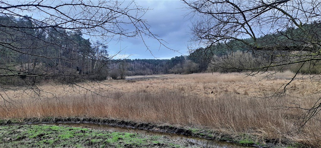 Jezioro Kopcze — zdjęcie 9