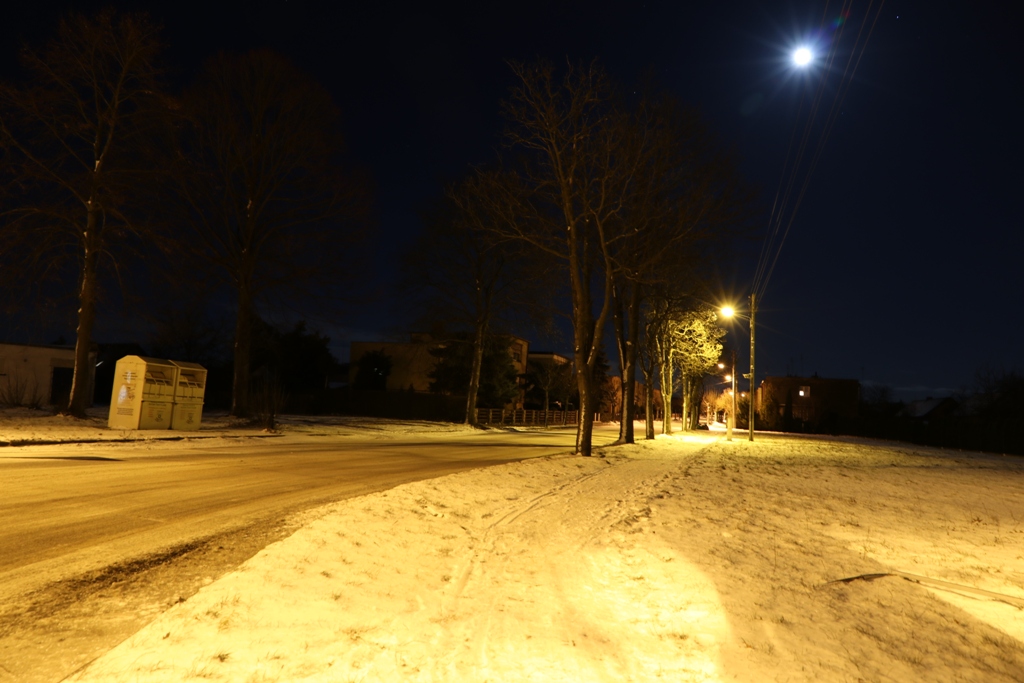Kaczory podświetlone śniegiem — zdjęcie 6