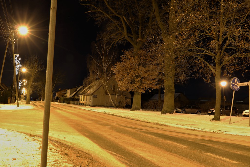 Kaczory podświetlone śniegiem — zdjęcie 8