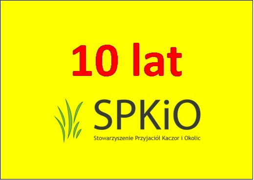 10 lat SPKiO