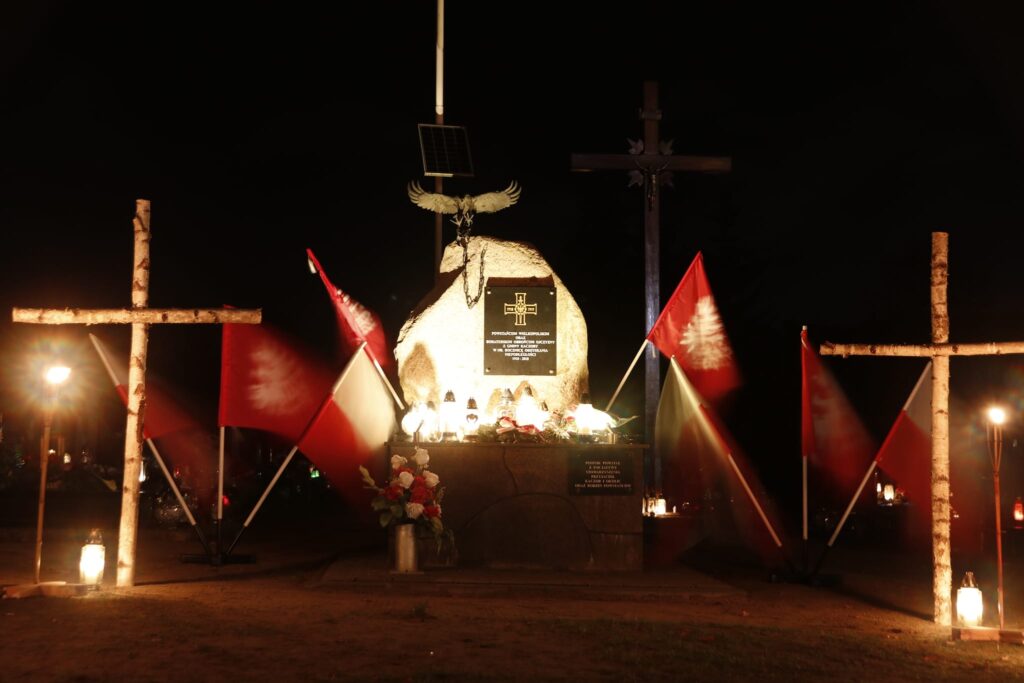Kaczory nocą — zdjęcie 1