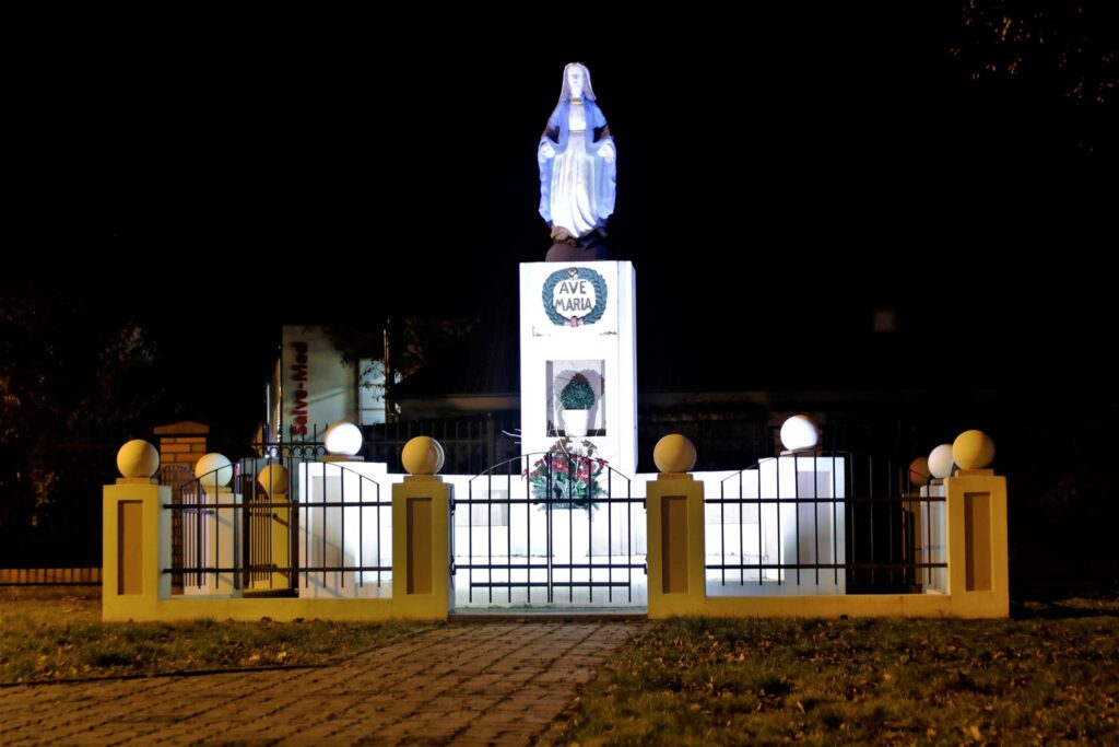 Kaczory nocą — zdjęcie 2