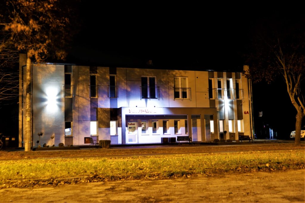 Kaczory nocą — zdjęcie 3