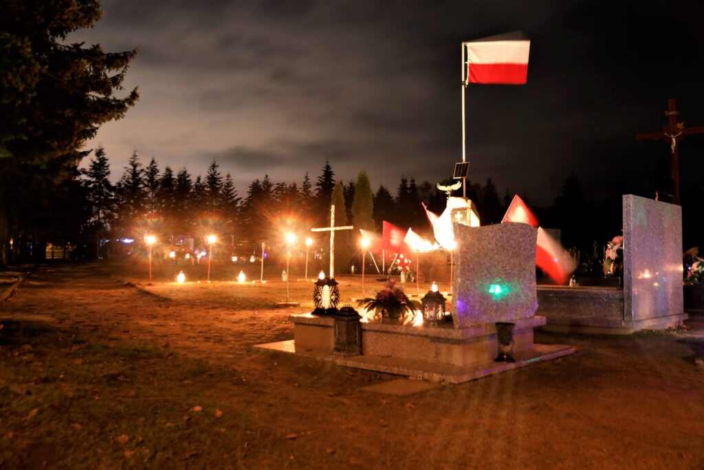 Kaczory nocą — zdjęcie 5