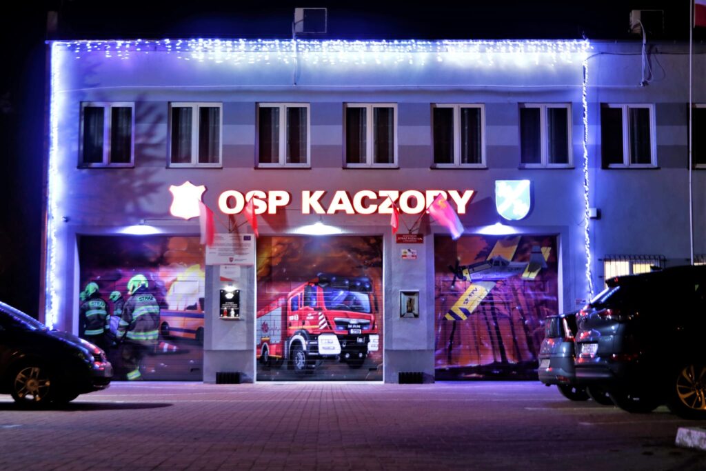 Kaczory nocą — zdjęcie 6