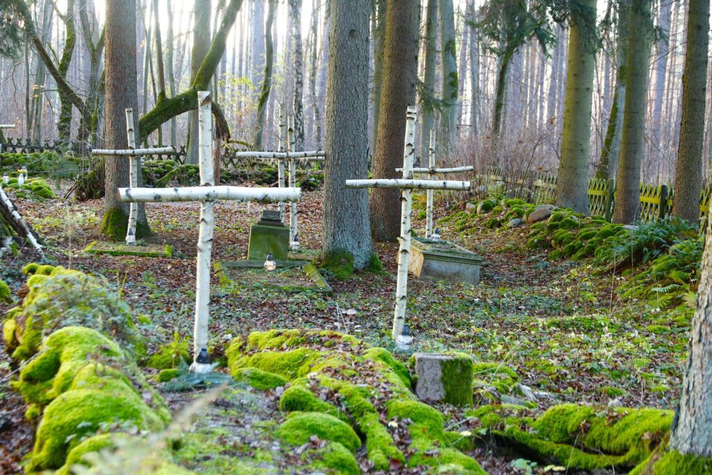„Pamięć jest niezbędnym dobrem życia” — zdjęcie 5